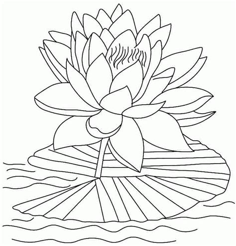 Free Lotus Flower Coloring Pages, Download Free Lotus Flower Coloring Pages png images, Free ...