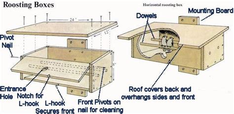 Bird Roost Plan One - Nighttime Shelter for Winter Birds | Bird house ...