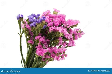 Statice flower bouquet stock photo. Image of natural - 76485268