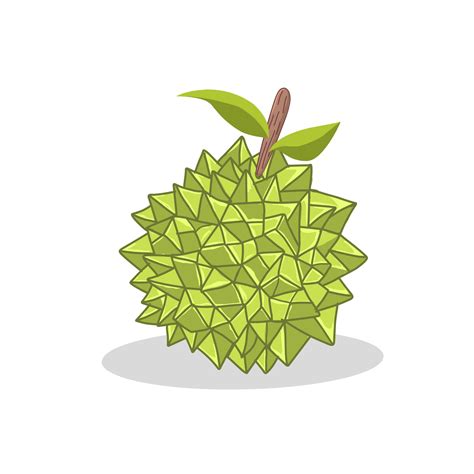 Durian fruit illustration image. Durian fruit icon .Fruits 8599248 Vector Art at Vecteezy