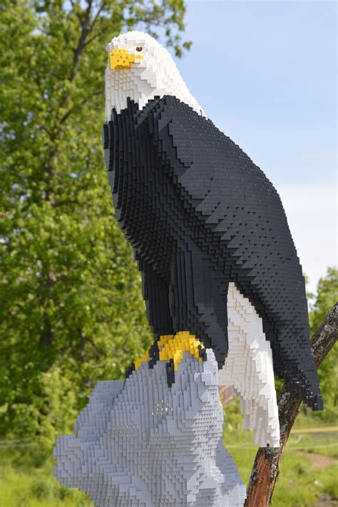 Lego Art Eagle at Powell Gardens in Missouri | Lego art, Lego sculptures, Lego creative