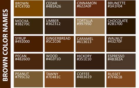 shades of coffee color - Google Search | Brown color palette, Brown color names, Brown color schemes