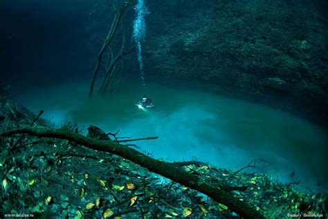 Hidden Underwater River Flowing Under the Ocean in Mexico | Bored Panda