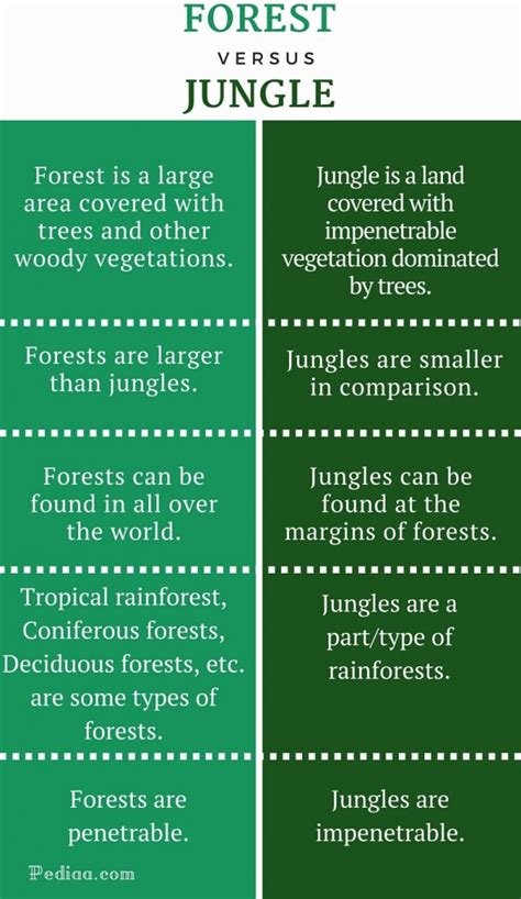 Difference Between Forest and Jungle