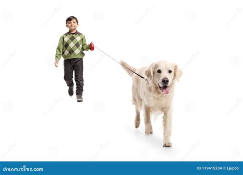 Little boy walking a dog stock photo. Image of friendship - 119415204