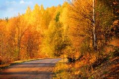 Finland: Autumn Colors Royalty Free Stock Photo - Image: 12166605