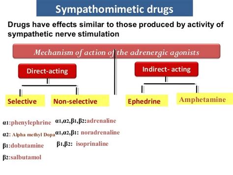 5. adrenergic drugs