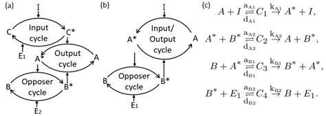 Network diagrams for (a) the three-node network analysed by Ma et al.... | Download Scientific ...