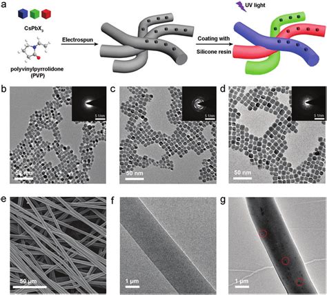 (a) Schematic of the silicone resin (SR) coating process for the ...