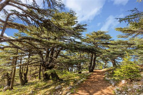 Hiking the scenic border-to-border Lebanon Mountain Trail – Lonely ...