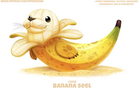 #2786-BANANA SEEL | Cute animal drawings, Cute animal drawings kawaii, Cute kawaii animals