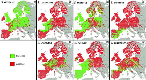 European distribution of the seven Soricidae species: (a) Sorex... | Download Scientific Diagram