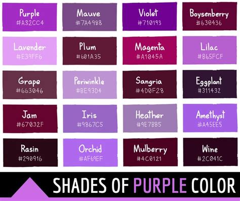shades of purple color with the words shades of purple in different font styles and colors