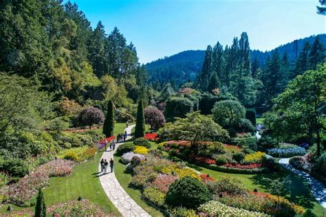 23 of the Best Things to Do in Victoria, BC - Must Do Canada