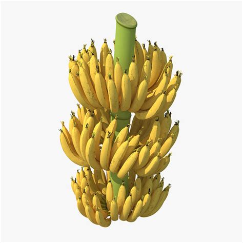 Banana 3D Models for Download | TurboSquid