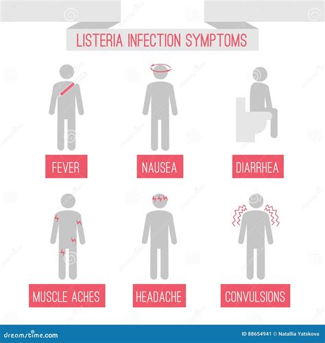 Listeria Infection Symptoms Stock Vector - Illustration of hospital, eating: 88654941