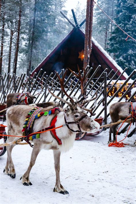 Ultimate Guide to Rovaniemi, Finland in Winter | Lapland Travel