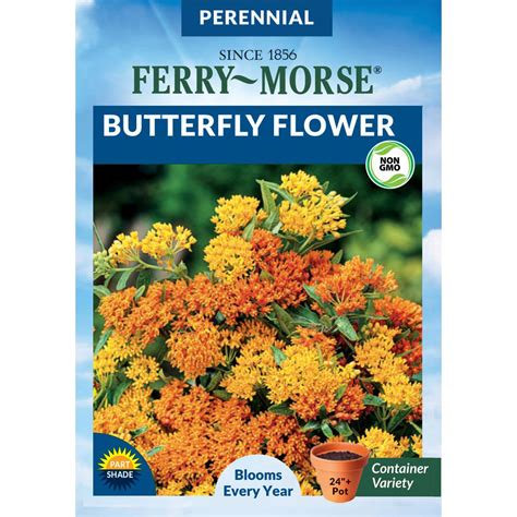 Ferry-Morse Butterfly Flower Seeds-5055 - The Home Depot