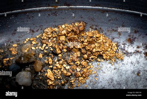 Alluvial Gold Mining Stock Photos & Alluvial Gold Mining Stock Images - Alamy