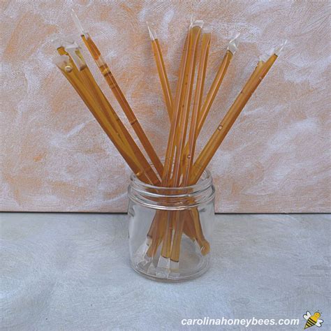 How to Make Honey Sticks (with Pictures) - Carolina Honeybees