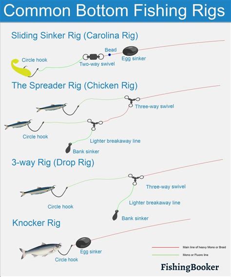 How to Go Bottom Fishing: The Complete Guide | Bottom fishing, Bottom ...