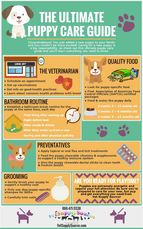 THE ULTIMATE PUPPY CARE GUIDE - J&B Pet Source