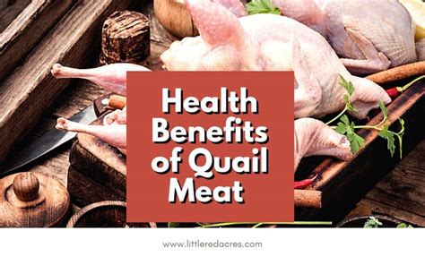 Health Benefits of Quail Meat