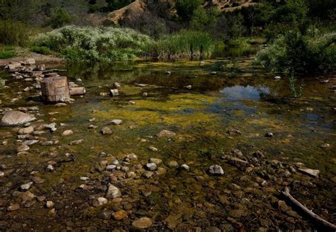 Malibu Creek State Park - Nature - Photo.net