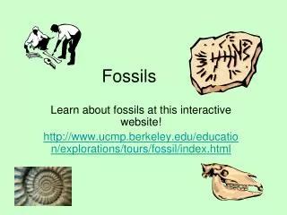 PPT - Fossils and their Importance in Geology: PowerPoint Presentation - ID:1067896