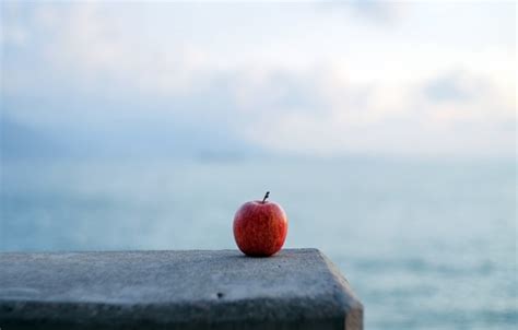 Wallpaper background, apple, Apple, minimalism, texture, logo, flooring ...