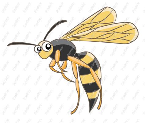 Wasp clipart 20 free Cliparts | Download images on Clipground 2024