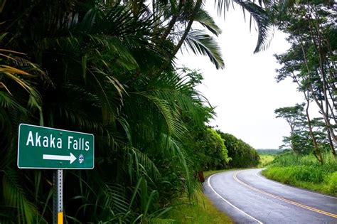 Getting to Akaka Falls trailhead 🌴 Where is free parking at Akaka Falls? 🌴 Big Island Hawaii ...