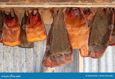 Specialty of Iceland Called Hakarl Fermented Shark Stock Photo - Image of stockfish, healthy ...