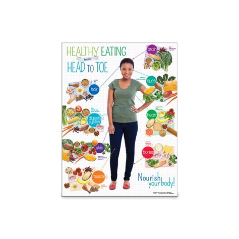 Buy Nutrition Education Poster | Adult Healthy Eating from Head to Toe Poster | 18" x 24 ...