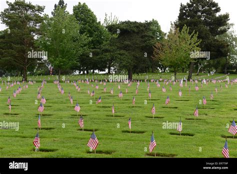 Memorial Day Flags At Willamette National Cemetery, Portland, Oregon Stock Photo - Alamy