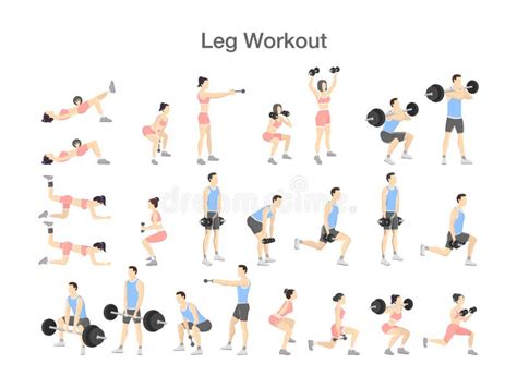 Leg Workout Set with Dumbbell and Barbell Stock Vector - Illustration of activity, bench: 125253470