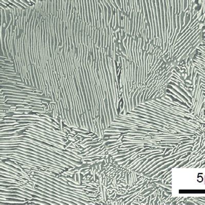 (PDF) Fatigue limit evaluation considering crack initiation for ...