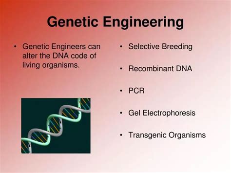 PPT - Genetic Engineering PowerPoint Presentation, free download - ID:4866553