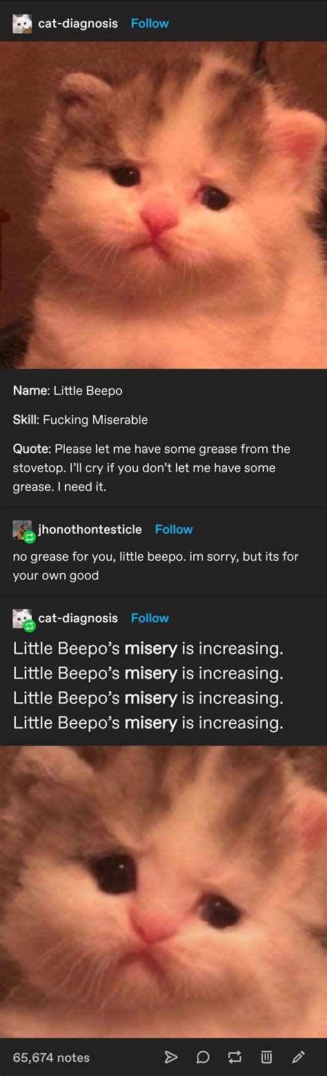 little beepo : r/CuratedTumblr