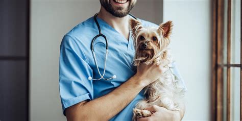 McAllen Veterinarian, Pet and Animal Hospital, Veterinary Care, Pet Doctor