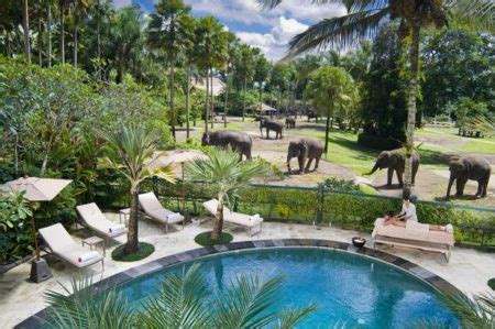 Safari Park Hotel Nairobi - International Association of Operative Millers