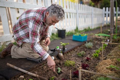 A Beginner’s Guide to Garden Weed Control: Three Things You Should Know - Efekto