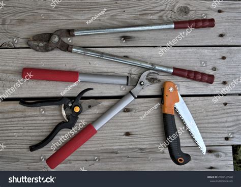 36,375 Pruning tools Images, Stock Photos & Vectors | Shutterstock