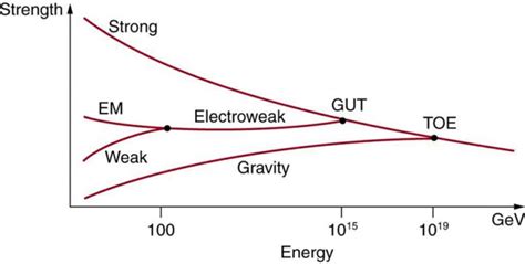 GUTs: The Unification of Forces | Physics