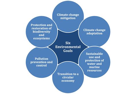 The EU Taxonomy - Seven Pillars Institute