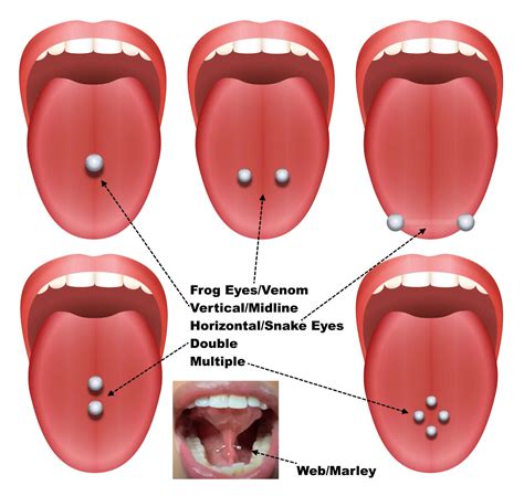 Ultimate Guide to Get a Tongue Piercing in 2024 - Piercing Zone