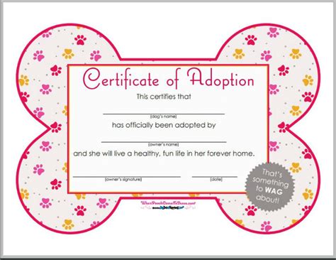 12+ Pet Birth Certificate Designs & Templates - PDF, PSD, AI, InDesign ...