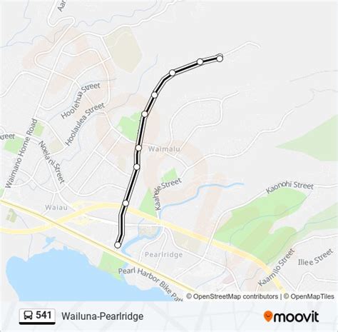 541 Route: Schedules, Stops & Maps - Kaahumanu St. (Updated)