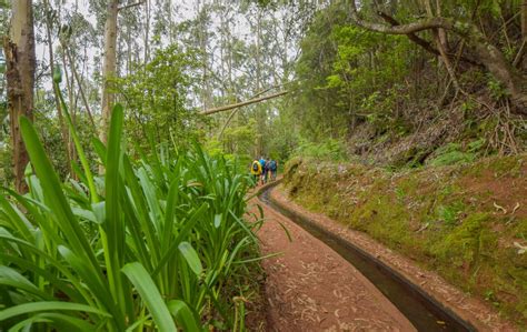 EASY Levada Walk in Madeira | Levada do Rei (+ TOP TIPS) - Becky the ...