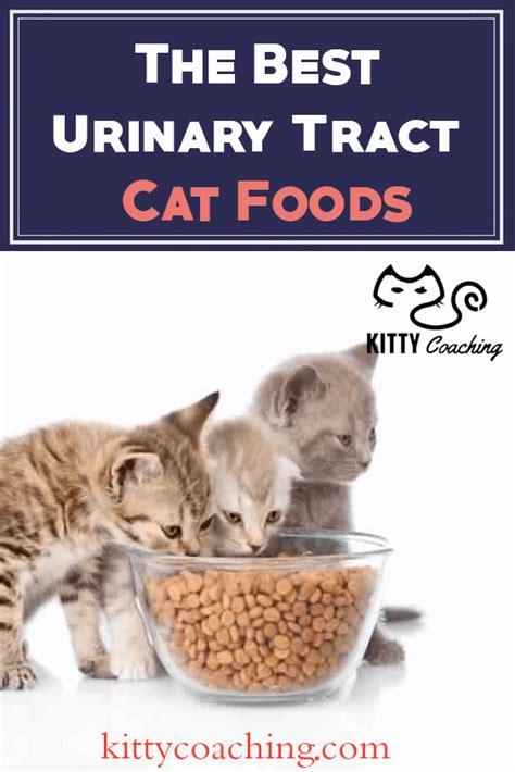 The Best Urinary Tract Cat Food - Our Top 5 Picks (2018)